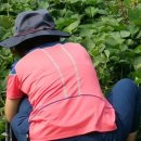 성복농장 이미지