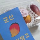 상순농장 | 군산 짜릿망고 애플망고 선물받은 후기