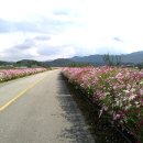 대청호코스 이미지