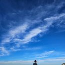 호주 여행 6월 7월 날씨 코디 옷차림 시밀러룩 (시드니, 블루마운틴, 포트스테판)