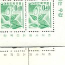 금강명판