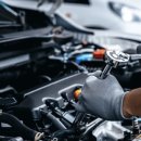 대한카독크 이미지