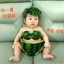 덥 Daum카페