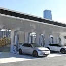 천안호두(부산) 이미지