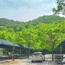 전원일기마을 오토 캠핑장 이미지