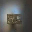 스테이740 | 제주 아기랑 가기좋은 호텔, 신라스테이플러스 이호테우 온돌방 후기