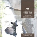 서울시야생동물센터 이미지