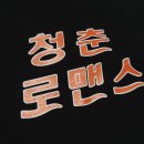 만리포똥돼지 이미지