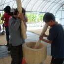 명지초등학교 이미지