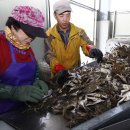 세대공감 트로트SHOW 이미지