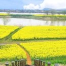 나주종합스포츠파크 건너편 이미지