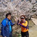 구룡포 초등학교 이미지