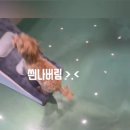 안다랜드 이미지