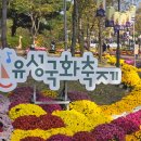 대전유성 유림공원 국화축제 산책 힐링하기 좋은곳