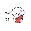 댕이룸 이미지