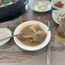 황칠오리 | [원주/목화가든] 여름 몸보신 하기 좋은 황칠 한방 오리 백숙 후기