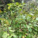 주천농장 이미지