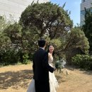 💍W(11) 소피소 스튜디오 촬영 후기 (B타입, 원본수령 전)
