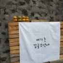 진일농장 | [후기] 제주감귤체험 :: 제주송정농원 노지 감귤 따기