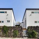 제주달다 이미지