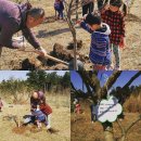 제주시산림조합로컬푸드