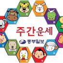 장애인복지회 군포시지부 이미지