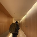 정말 한치 앞도 예측할 수 없는 삶. 그게 허니문일지라도 (난생 처음 비행기 놓친썰)
