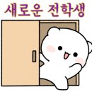 샵오팔(Opal) 이미지