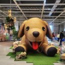 김해시청 대회의실 이미지