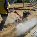 대구포산초등학교 이미지