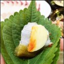 어랑어랑회산오징어 - 달서구 성지로 62 | 어랑어랑회산오징어