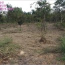 구암동213 이미지