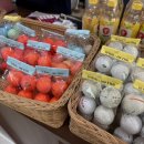 메조 스테이 이미지