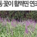 연조공원 이미지