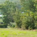 매계조위신도비 이미지