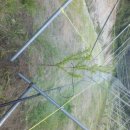 손해평가사 1차 - 재배학 및 원예작물학 이미지