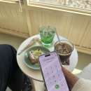 하평길 | 강릉 현지인 로컬 맛집 자연산회 <주문진항샵20> 후기, 전화 예약 꿀팁