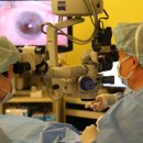 새빛병원 이미지