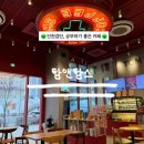 내돈내산::인천 검단 공부하기 좋은 24시간 카페, 탐앤탐스 (검단 카페 4곳 비교)TOM N TOMS COFFEE