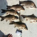 행복 낚시터 이미지