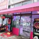 핫플레이스킹덤 이미지