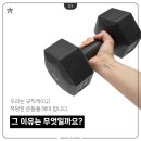 참좋은신방합기도 이미지