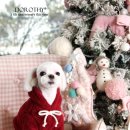 다나펫샵 이미지