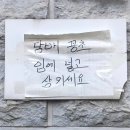 🇻🇳 3박 4일 다낭 호이안 여행 후기 EP. 2 🇻🇳 (호이안 올드타운 / 쿠킹클래스 &amp; 바구니배 에어비앤비...
