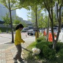 옐레드애견유치원&애견호텔동탄예당점 | 동탄애견유치원 옐레드 동탄예당점 동탄애견호텔