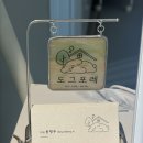 도그포레 네이버블로그