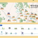 대숲여행 이미지