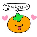 빛향