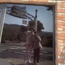 종훈농장 | [부리부리방범대] 두루마리휴지방범대랑 제주도를 지키다