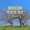 GS25 익산춘포점 | 익산 벚꽃 드라이브 명소 만경강 벚꽃길